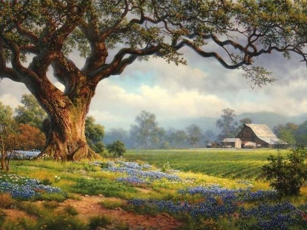 Rest Of My&nbsp;Soul