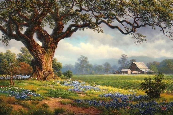 Rest Of My&nbsp;Soul